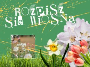 Rozpisz się latem - okładka ebooka - pomysły na opowiadania, pytania do pracy z dziennikiem i ćwiczenia pobudzające kreatywność